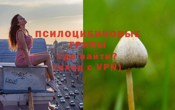 эйфоретик Мамадыш