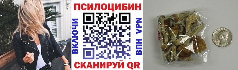 Галлюциногенные грибы прущие грибы  блэк спрут вход  Приозерск  продажа наркотиков 